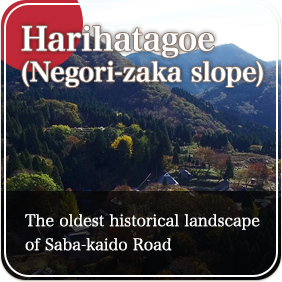 Harihatagoe (Negori-zaka slope)
