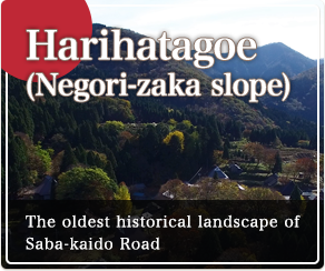 Harihatagoe (Negori-zaka slope)