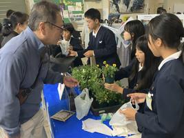 1小浜小　ミミズコンポスト花苗配布