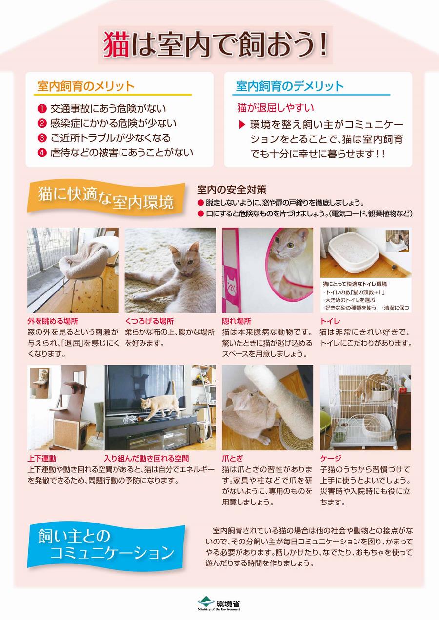 【環境省】猫は室内で飼おう!