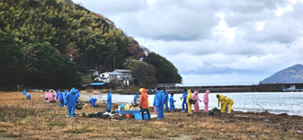 漂着物の回収